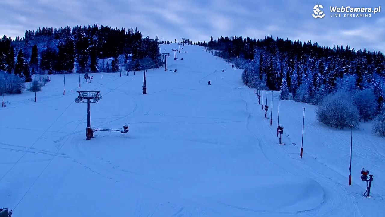 Kotelnica Białczańska - Remiaszów - 29 listopad 2025, 08:15