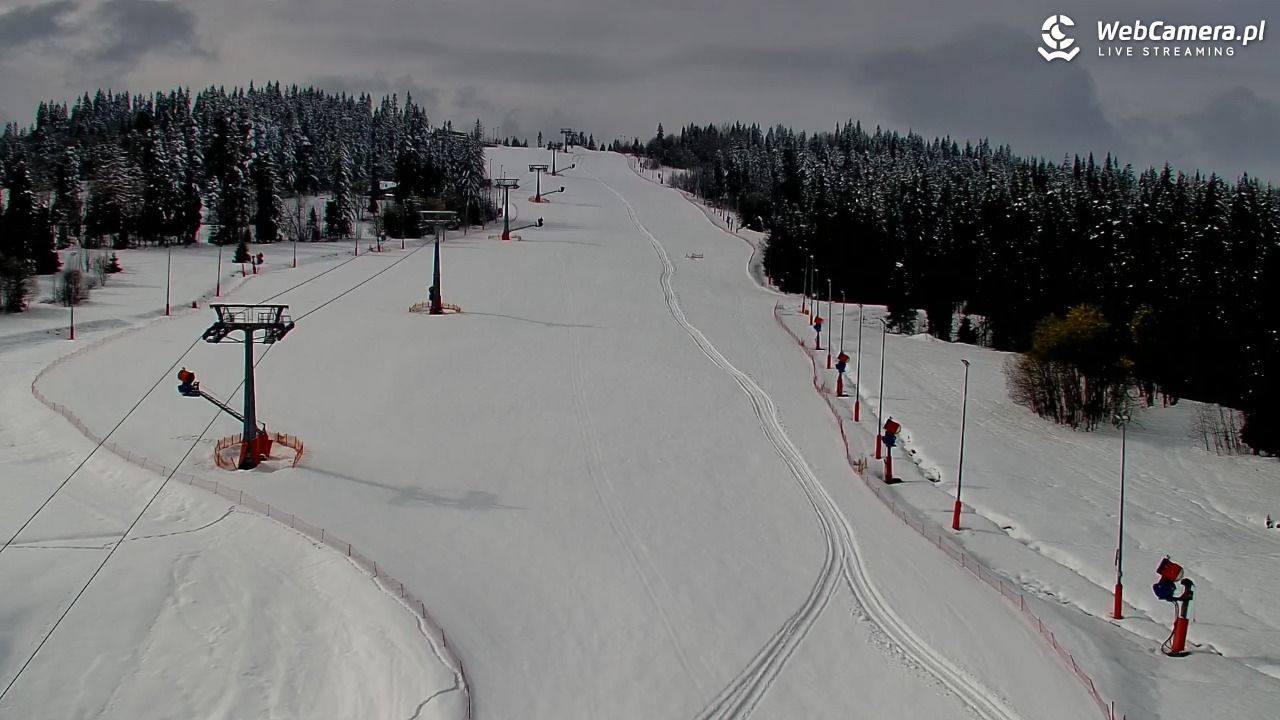 Kotelnica Białczańska - Remiaszów - 01 kwiecień 2026, 10:09