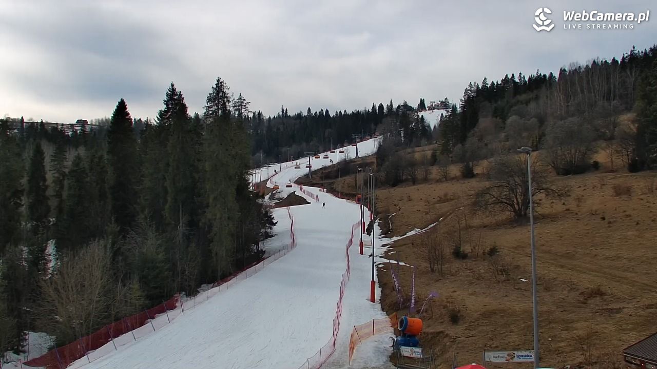 Kotelnica Białczańska - Remiaszów - 08 marzec 2026, 14:10