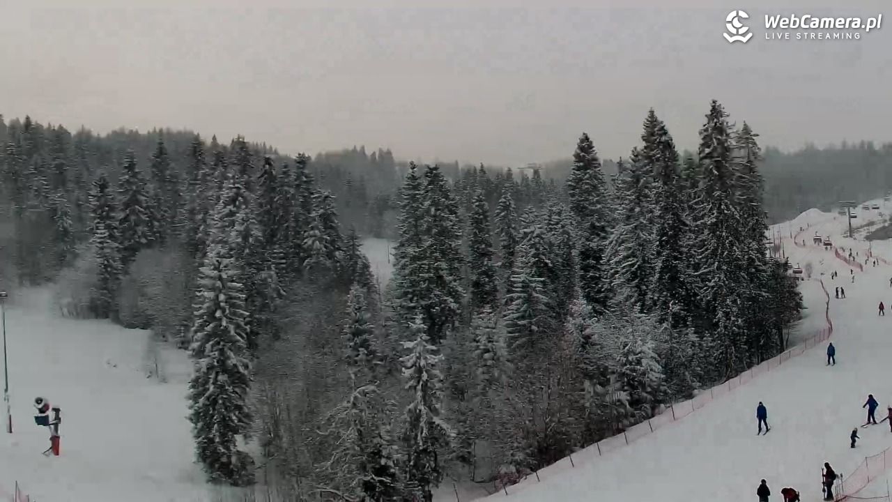 Kotelnica Białczańska - Remiaszów - 08 styczeń 2026, 12:07