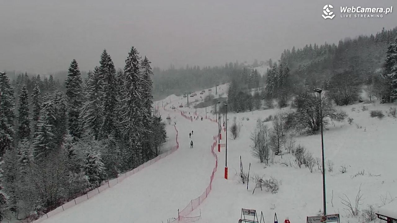 Kotelnica Białczańska - Remiaszów - 08 styczeń 2026, 10:26