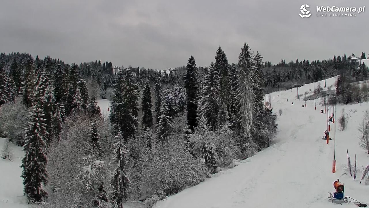 Kotelnica Białczańska - Remiaszów - 27 listopad 2025, 11:29