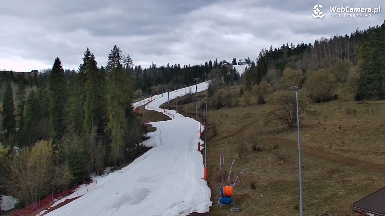 Kotelnica Białczańska - Remiaszów - 06 kwiecień 2026, 11:04