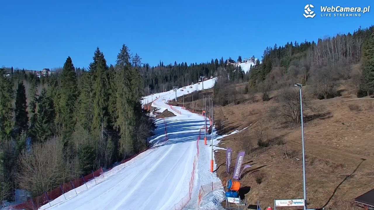 Kotelnica Białczańska - Remiaszów - 09 marzec 2026, 08:13