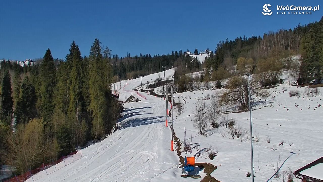 Kotelnica Białczańska - Remiaszów - 04 kwiecień 2026, 09:50