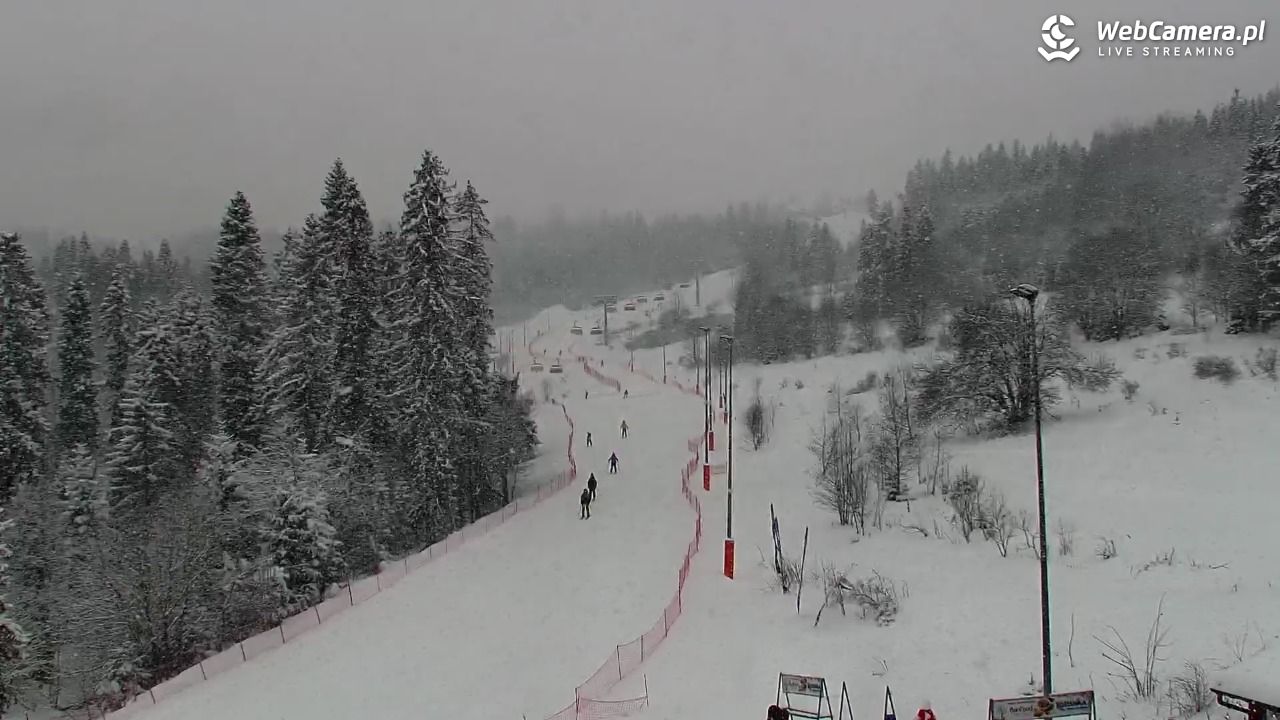 Kotelnica Białczańska - Remiaszów - 08 styczeń 2026, 10:07