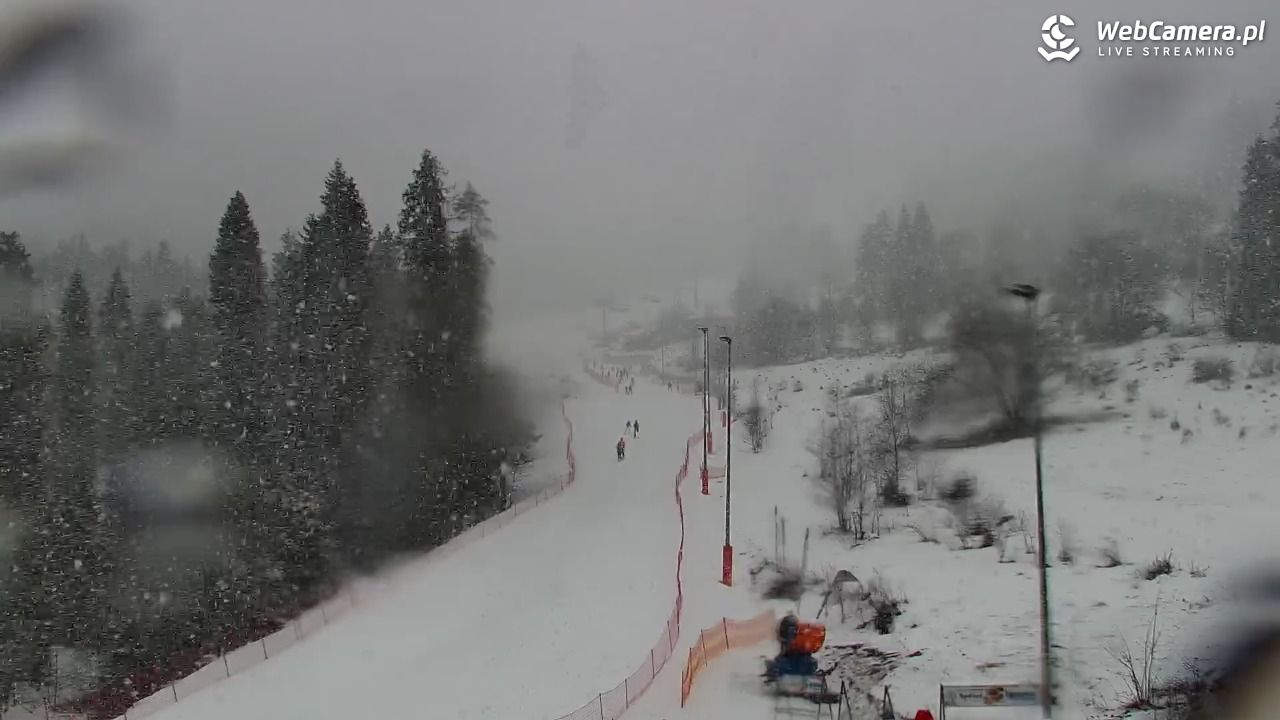 Kotelnica Białczańska - Remiaszów - 24 luty 2026, 10:14