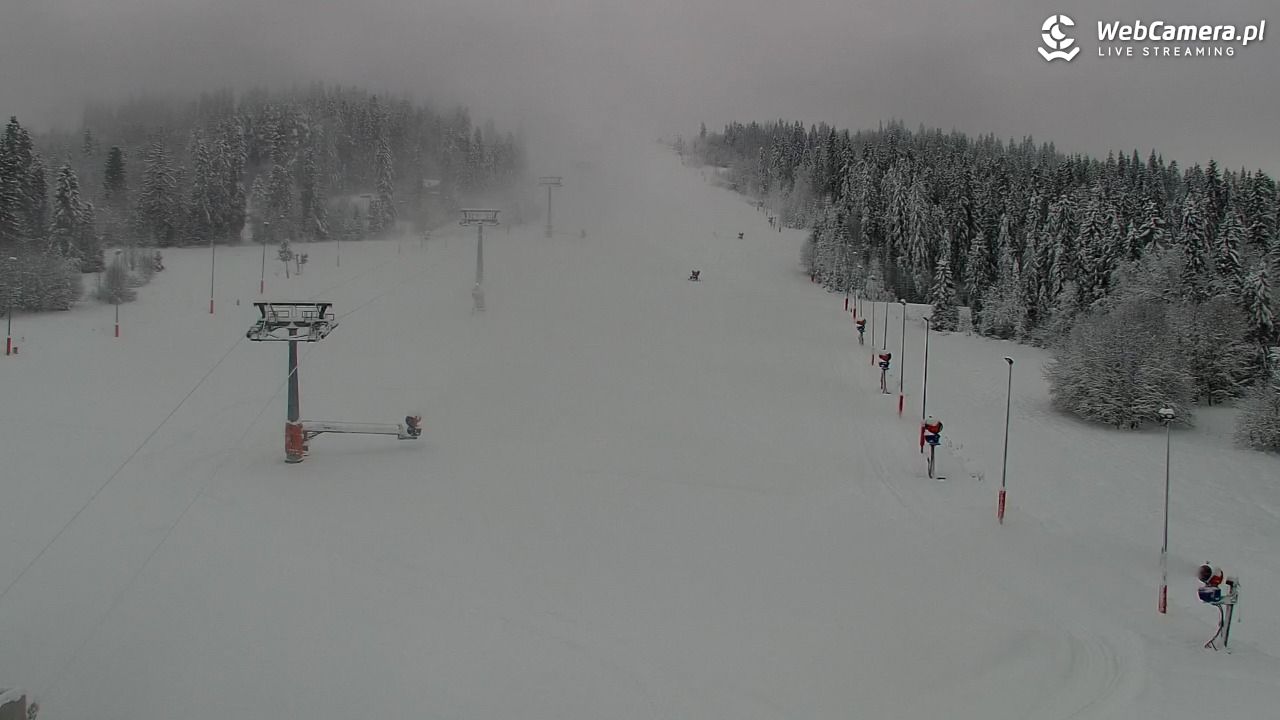 Kotelnica Białczańska - Remiaszów - 23 listopad 2025, 09:15