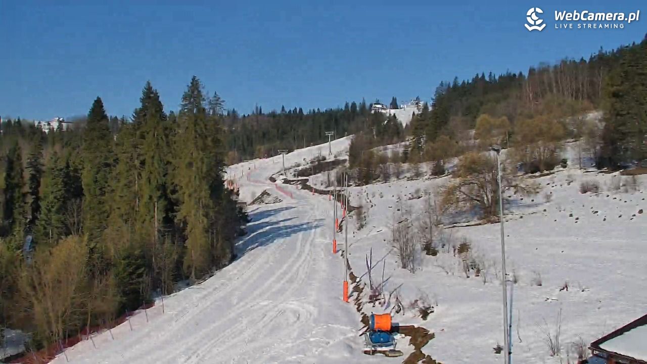 Kotelnica Białczańska - Remiaszów - 04 kwiecień 2026, 08:11