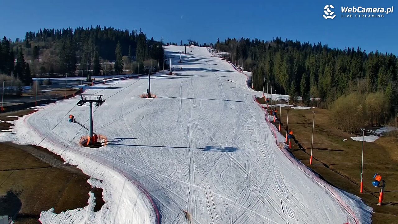 Kotelnica Białczańska - Remiaszów - 10 kwiecień 2026, 08:01