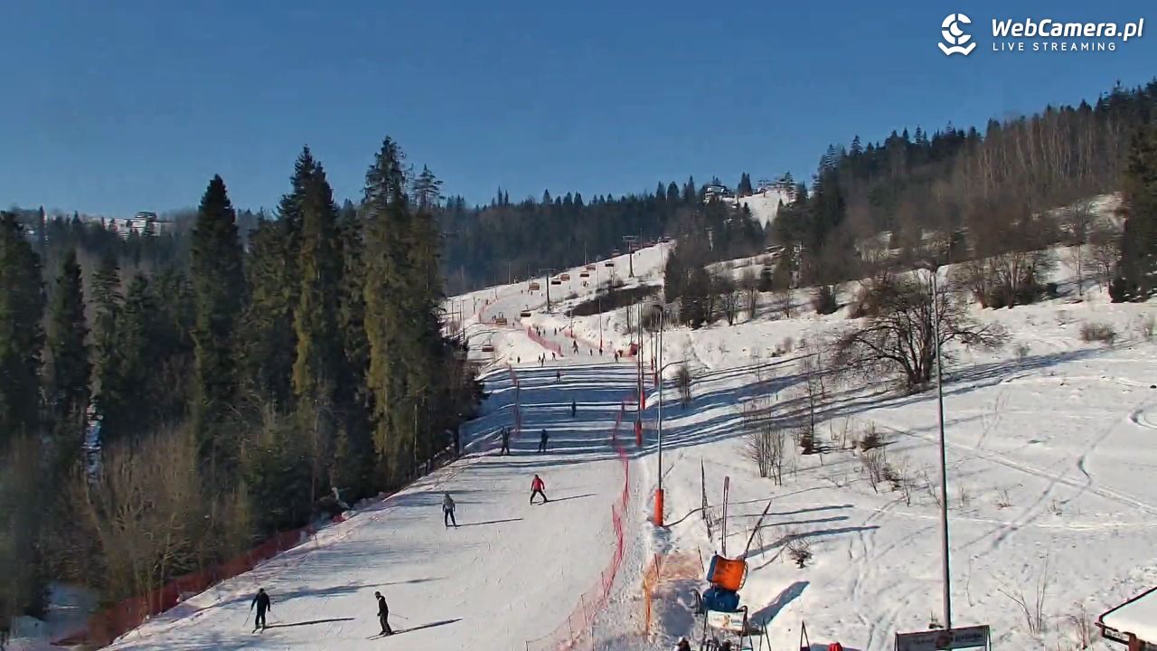 Kotelnica Białczańska - Remiaszów - 17 styczeń 2026, 11:00