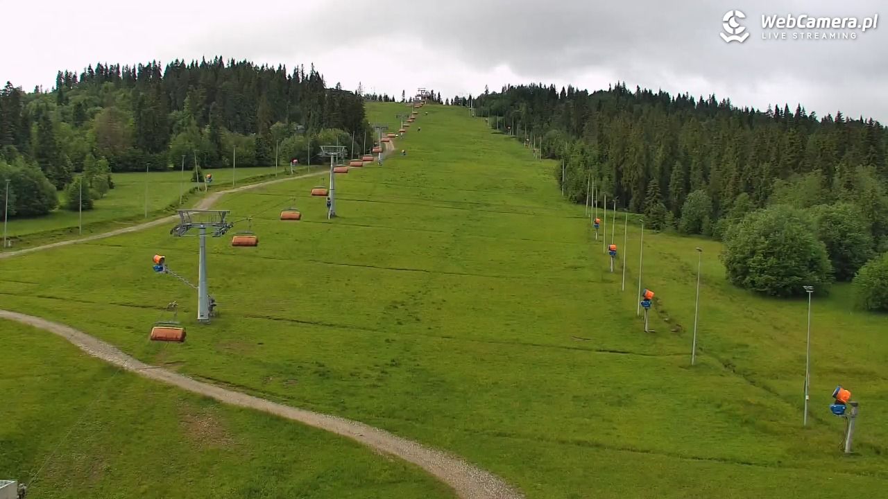 Kotelnica Białczańska - Remiaszów - 11 czerwiec 2026, 08:41