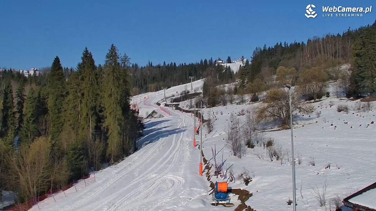 Kotelnica Białczańska - Remiaszów - 04 kwiecień 2026, 08:06