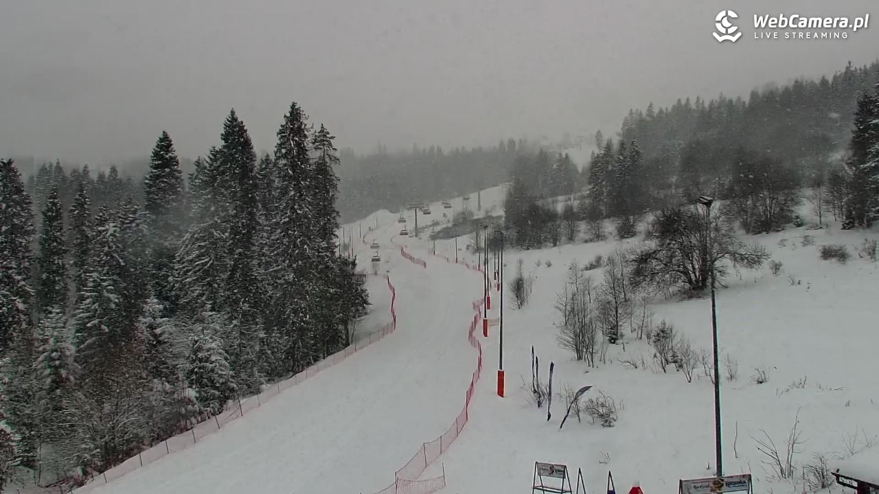 Kotelnica Białczańska - Remiaszów - 11 styczeń 2026, 09:04