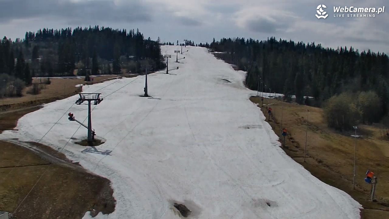 Kotelnica Białczańska - Remiaszów - 14 kwiecień 2026, 12:20