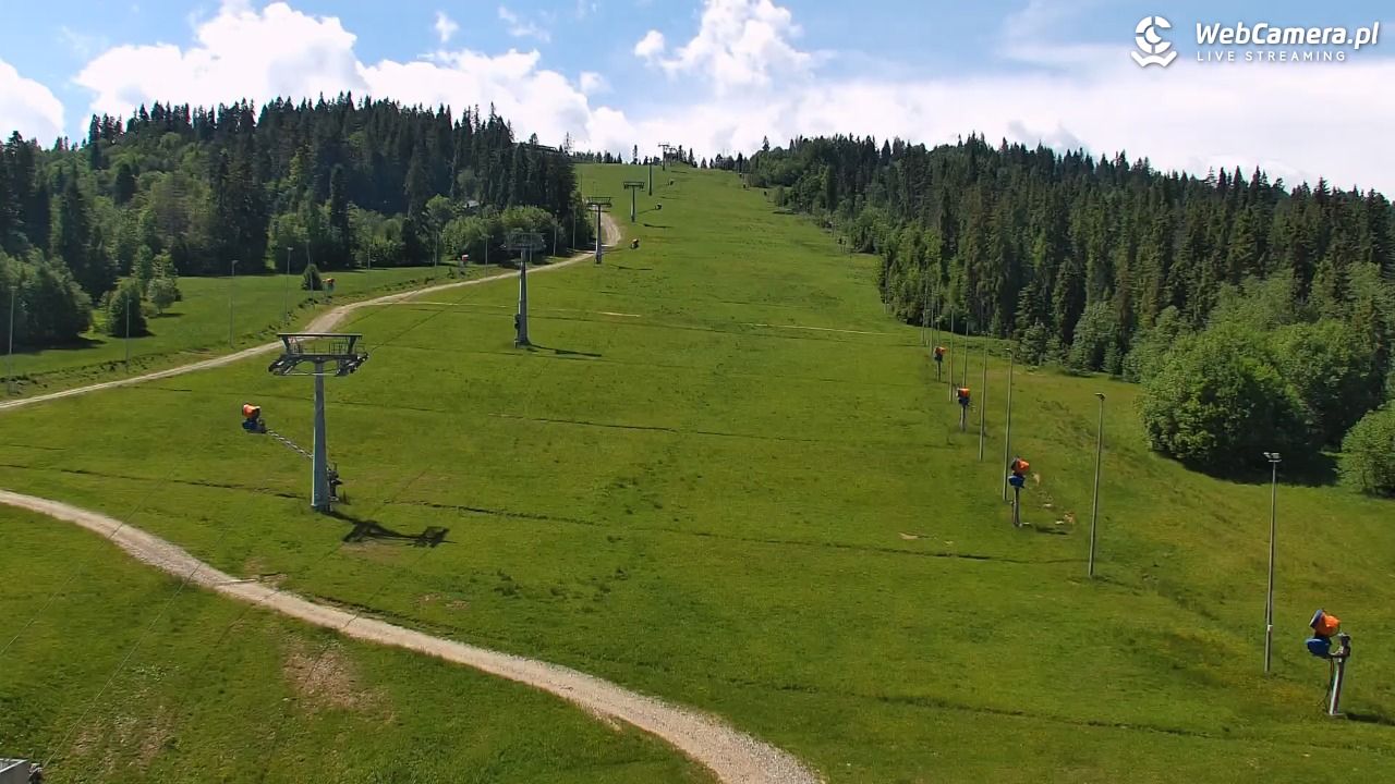 Kotelnica Białczańska - Remiaszów - 09 czerwiec 2026, 11:05