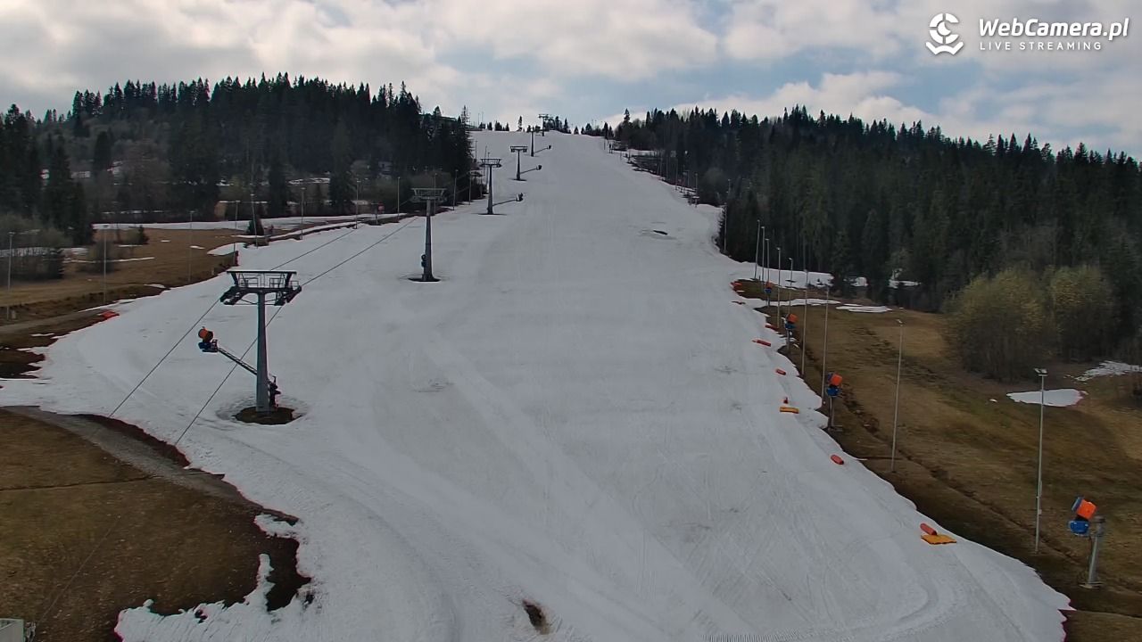 Kotelnica Białczańska - Remiaszów - 11 kwiecień 2026, 11:20