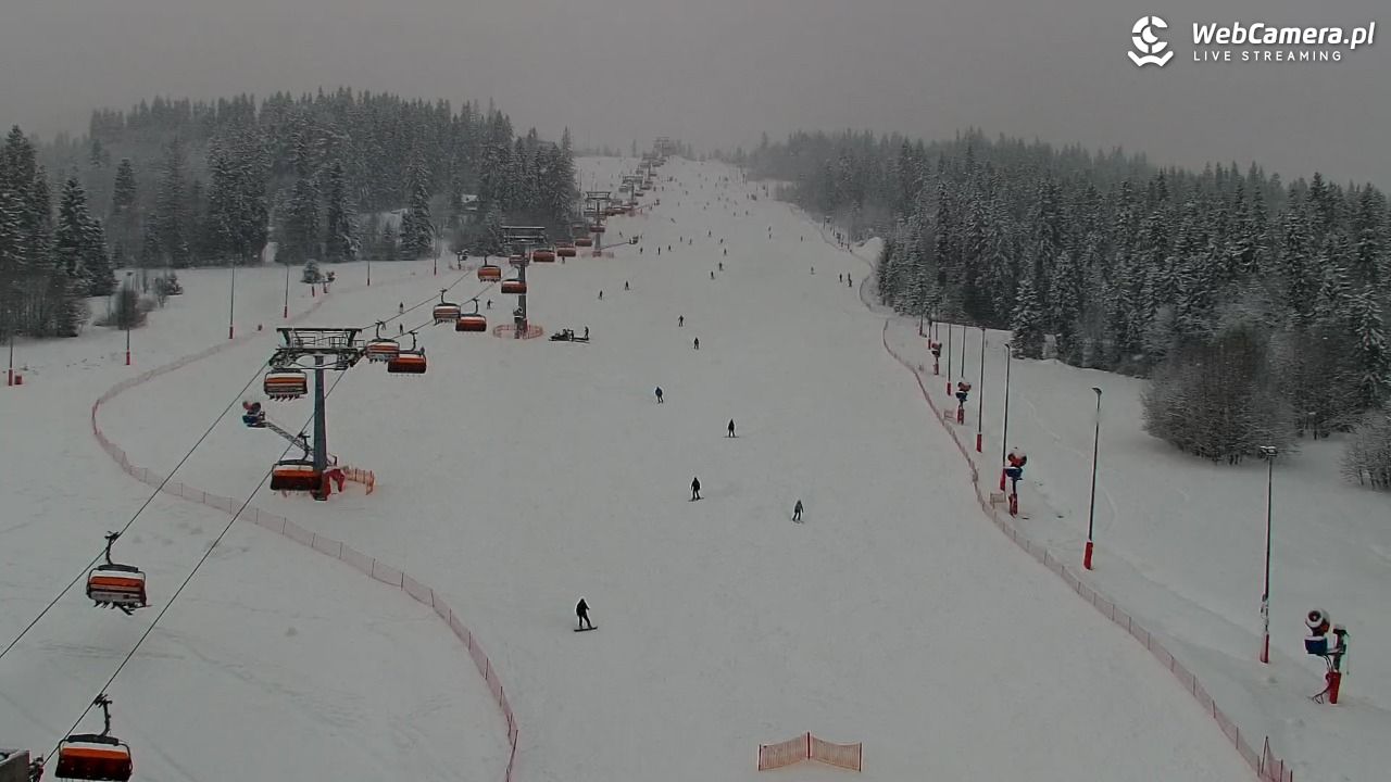 Kotelnica Białczańska - Remiaszów - 08 styczeń 2026, 10:44