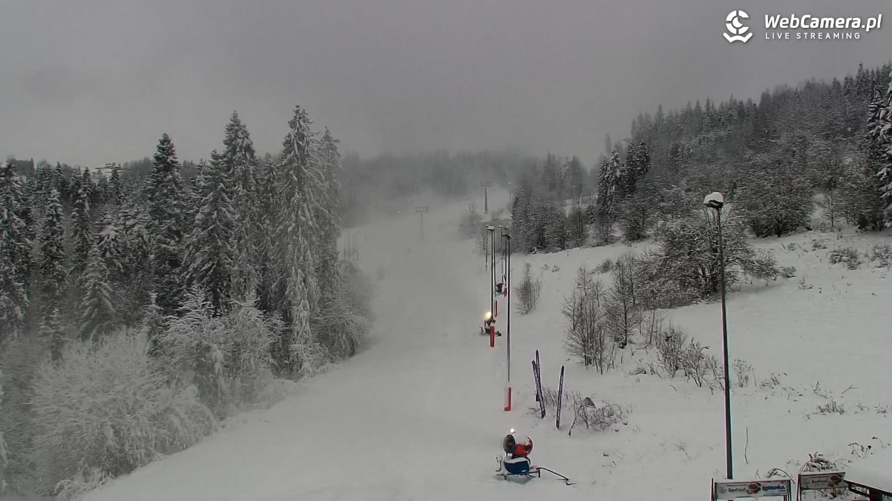 Kotelnica Białczańska - Remiaszów - 23 listopad 2025, 15:44