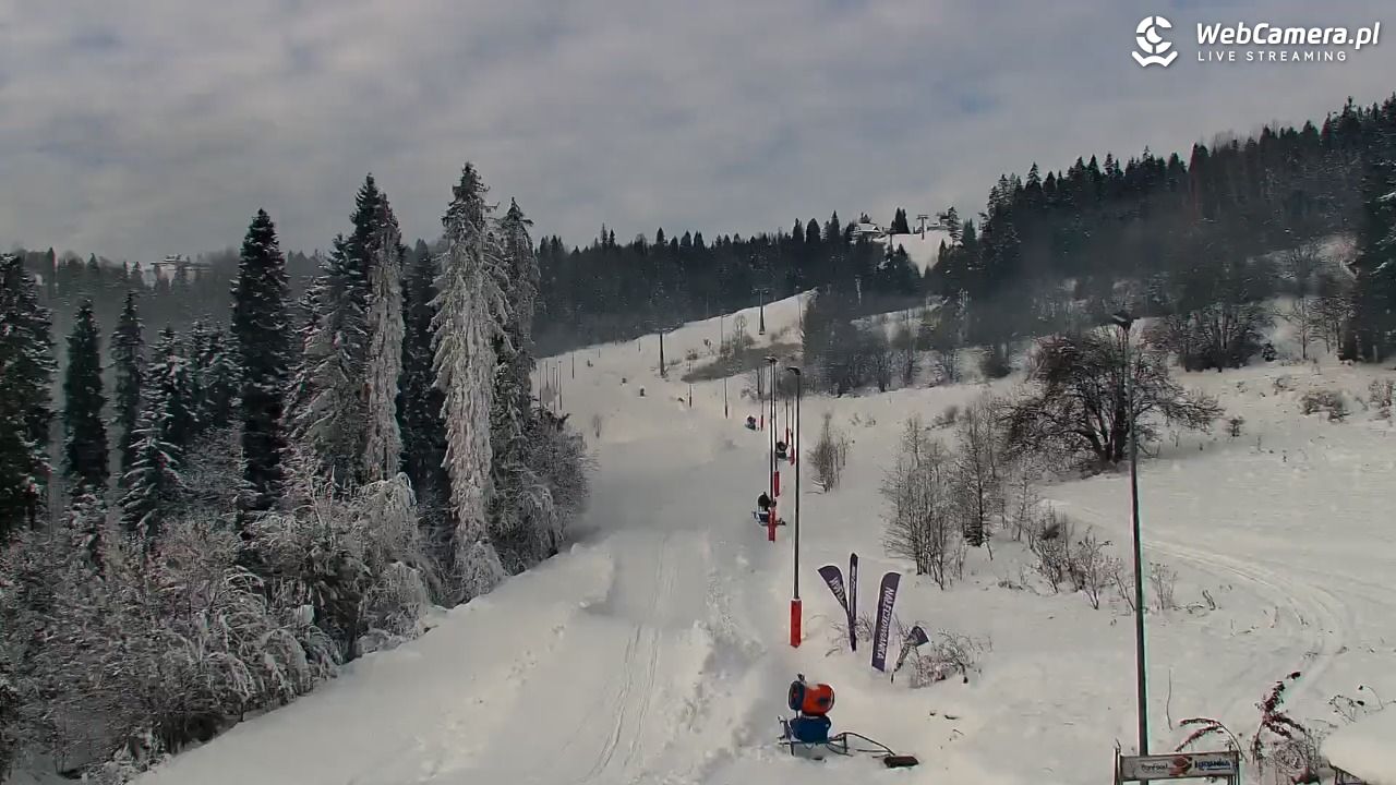 Kotelnica Białczańska - Remiaszów - 29 listopad 2025, 10:05