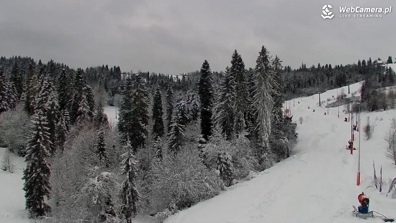 Kotelnica Białczańska - Remiaszów - 27 listopad 2025, 11:29