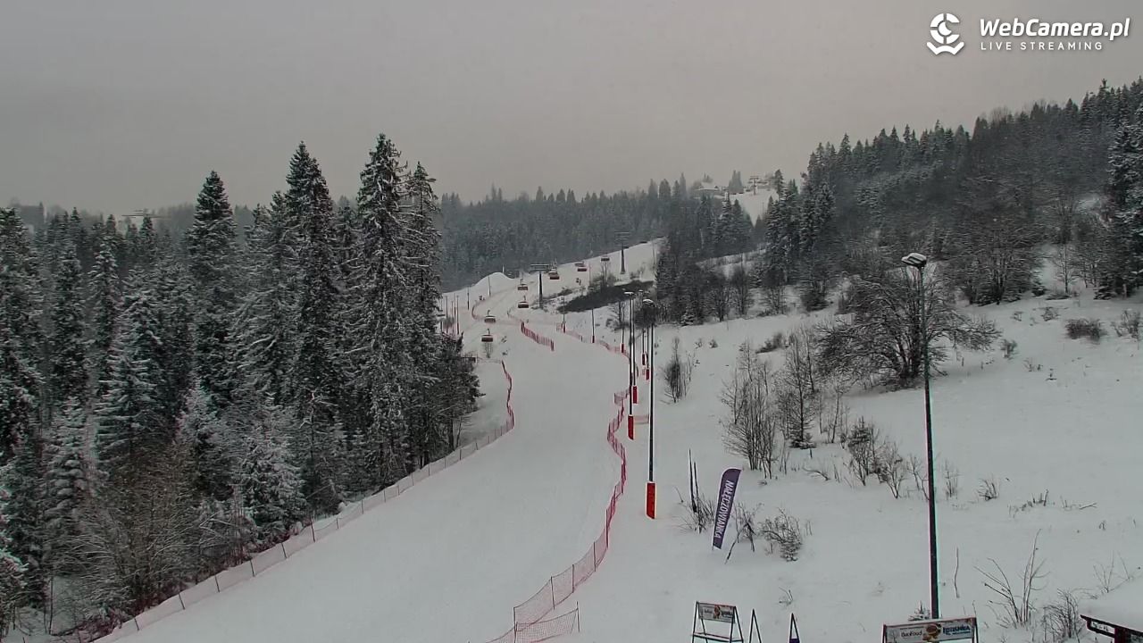 Kotelnica Białczańska - Remiaszów - 07 styczeń 2026, 08:55