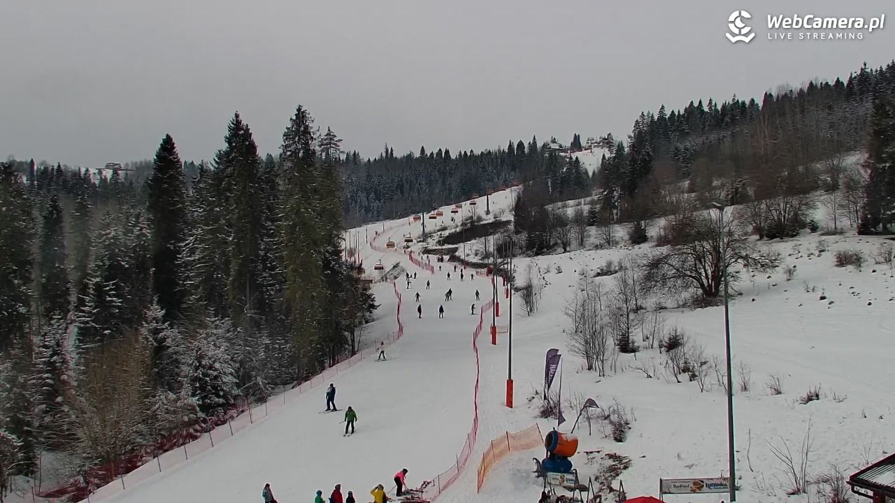 Kotelnica Białczańska - Remiaszów - 19 luty 2026, 11:13