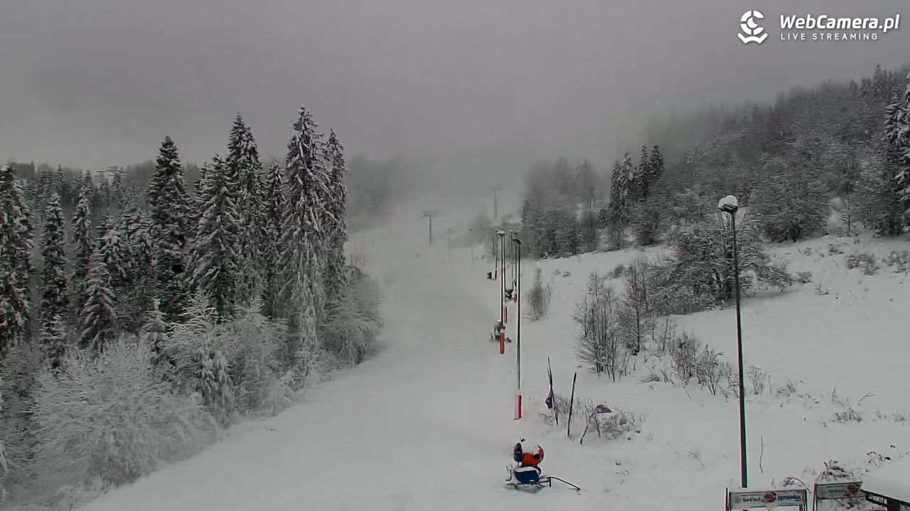 Kotelnica Białczańska - Remiaszów - 23 listopad 2025, 09:27