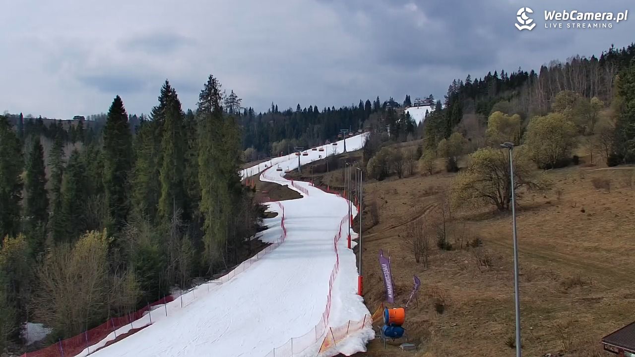 Kotelnica Białczańska - Remiaszów - 24 marzec 2026, 11:14