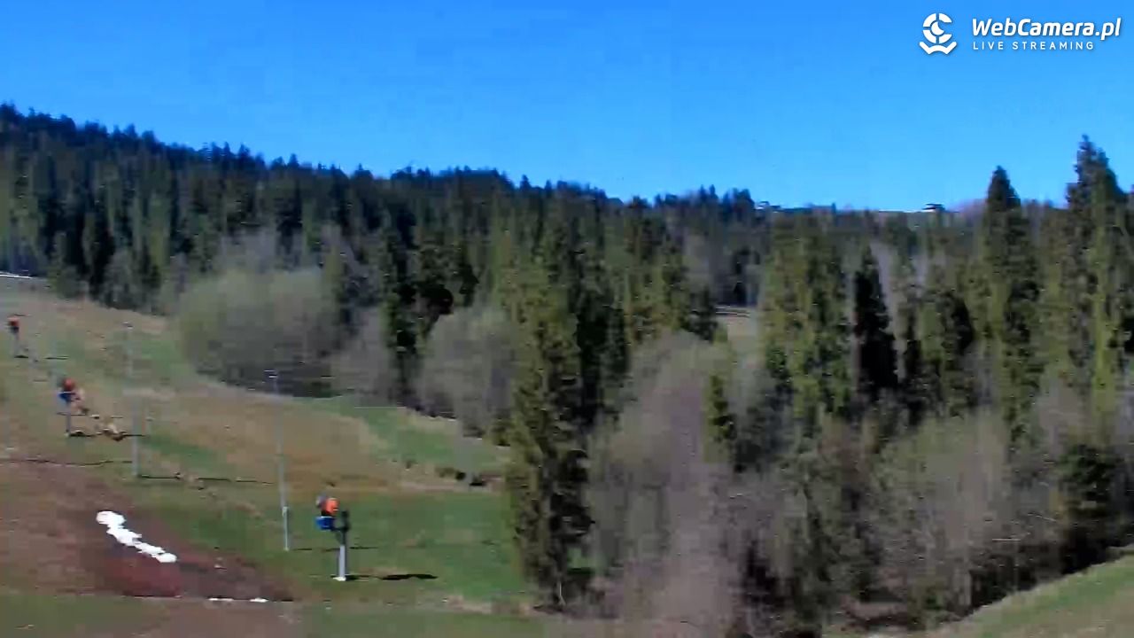 Kotelnica Białczańska - Remiaszów - 03 maj 2026, 09:33