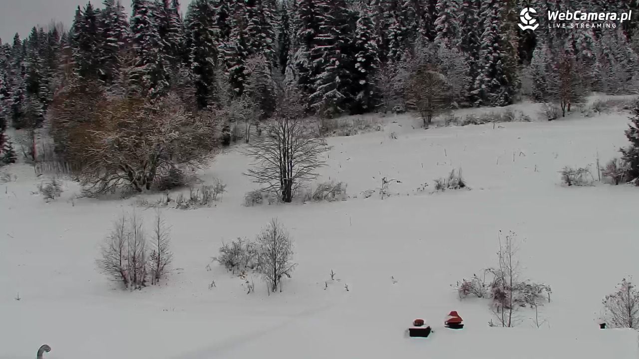 Kotelnica Białczańska - Remiaszów - 27 listopad 2025, 10:06