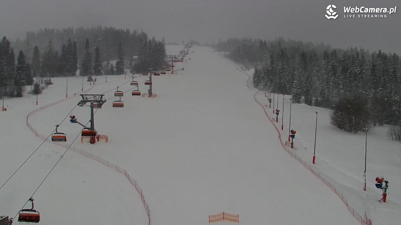 Kotelnica Białczańska - Remiaszów - 11 styczeń 2026, 08:34