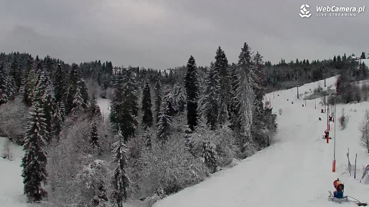 Kotelnica Białczańska - Remiaszów - 27 listopad 2025, 11:20