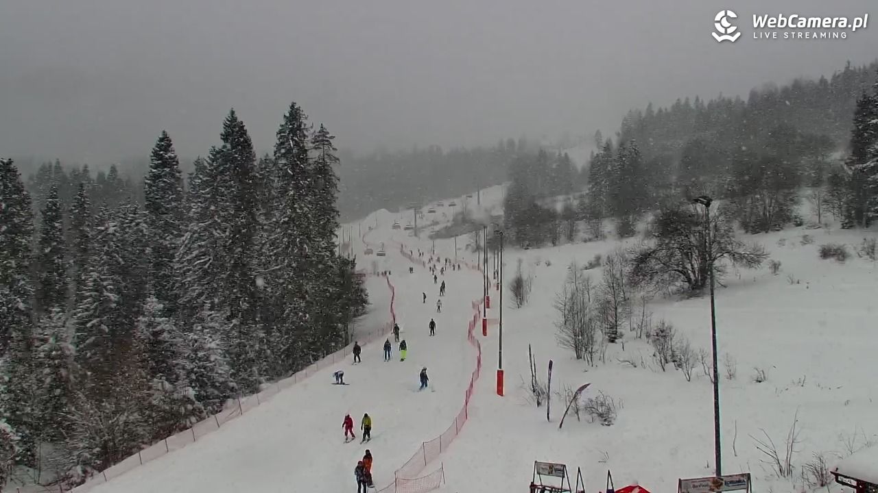 Kotelnica Białczańska - Remiaszów - 11 styczeń 2026, 11:34