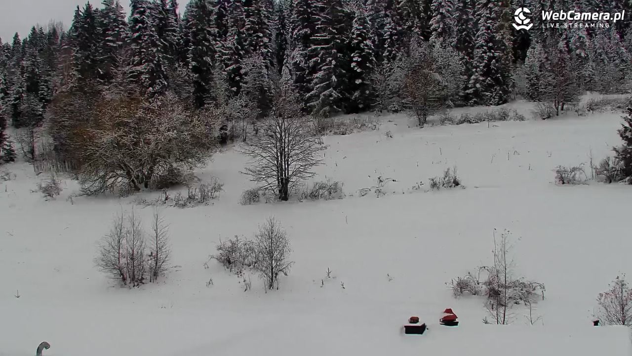 Kotelnica Białczańska - Remiaszów - 27 listopad 2025, 08:35