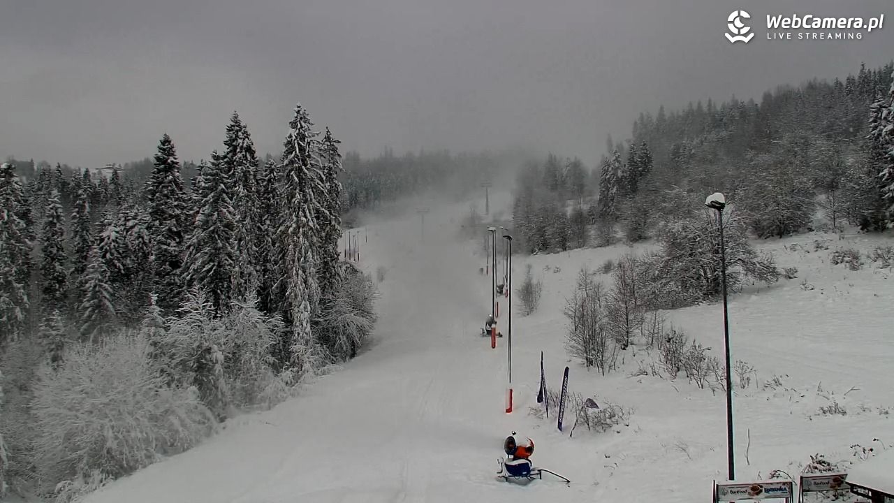 Kotelnica Białczańska - Remiaszów - 23 listopad 2025, 11:47