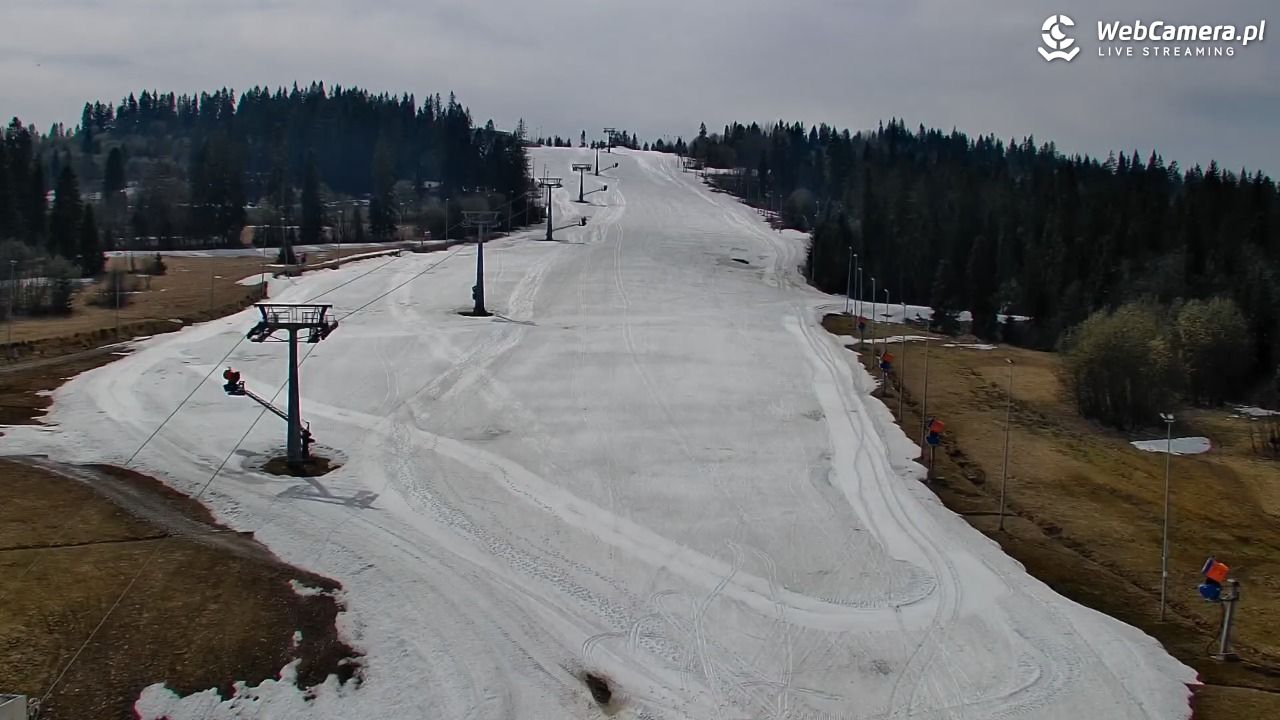 Kotelnica Białczańska - Remiaszów - 12 kwiecień 2026, 12:10