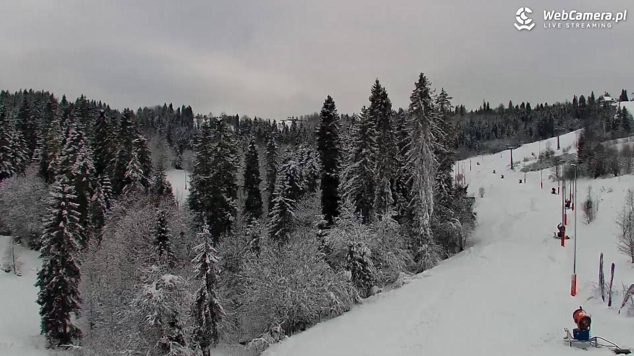 Kotelnica Białczańska - Remiaszów - 27 listopad 2025, 12:06