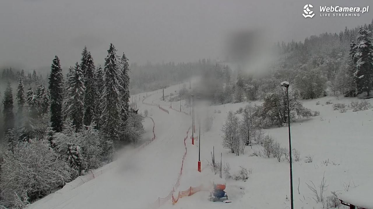 Kotelnica Białczańska - Remiaszów - 31 marzec 2026, 08:21