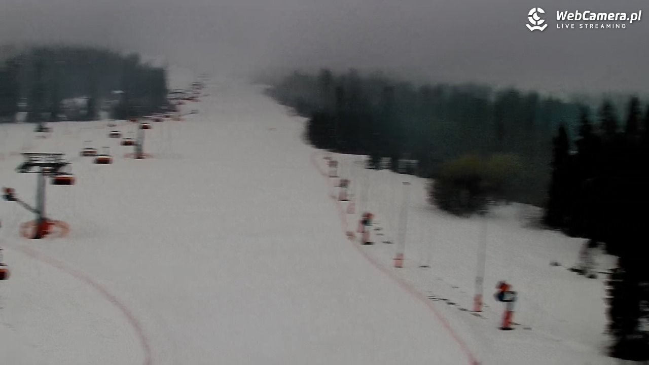 Kotelnica Białczańska - Remiaszów - 29 marzec 2026, 17:17