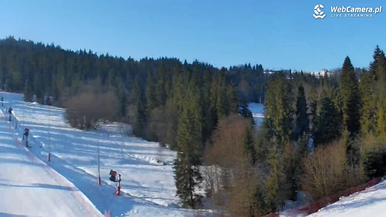 Kotelnica Białczańska - Remiaszów - 17 styczeń 2026, 09:18