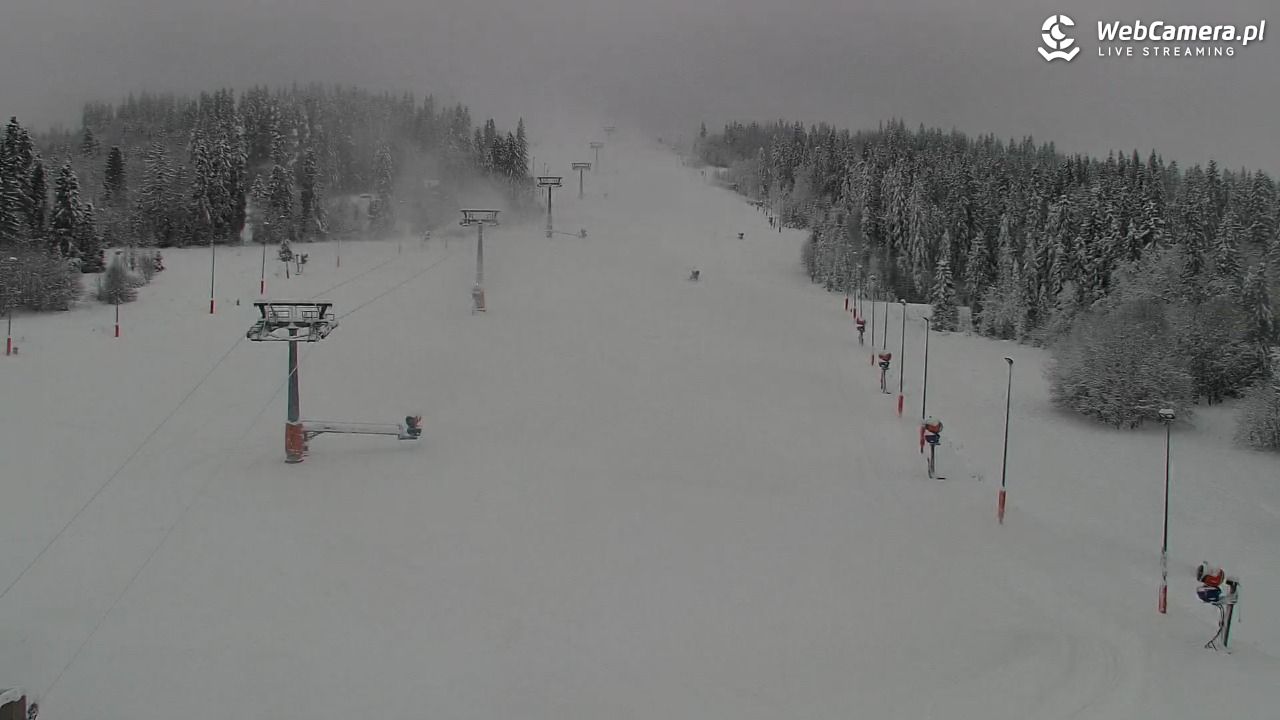 Kotelnica Białczańska - Remiaszów - 23 listopad 2025, 13:35