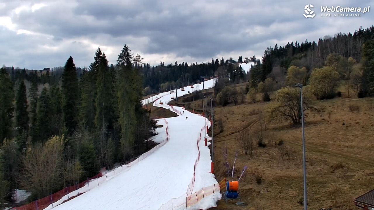 Kotelnica Białczańska - Remiaszów - 22 marzec 2026, 13:18