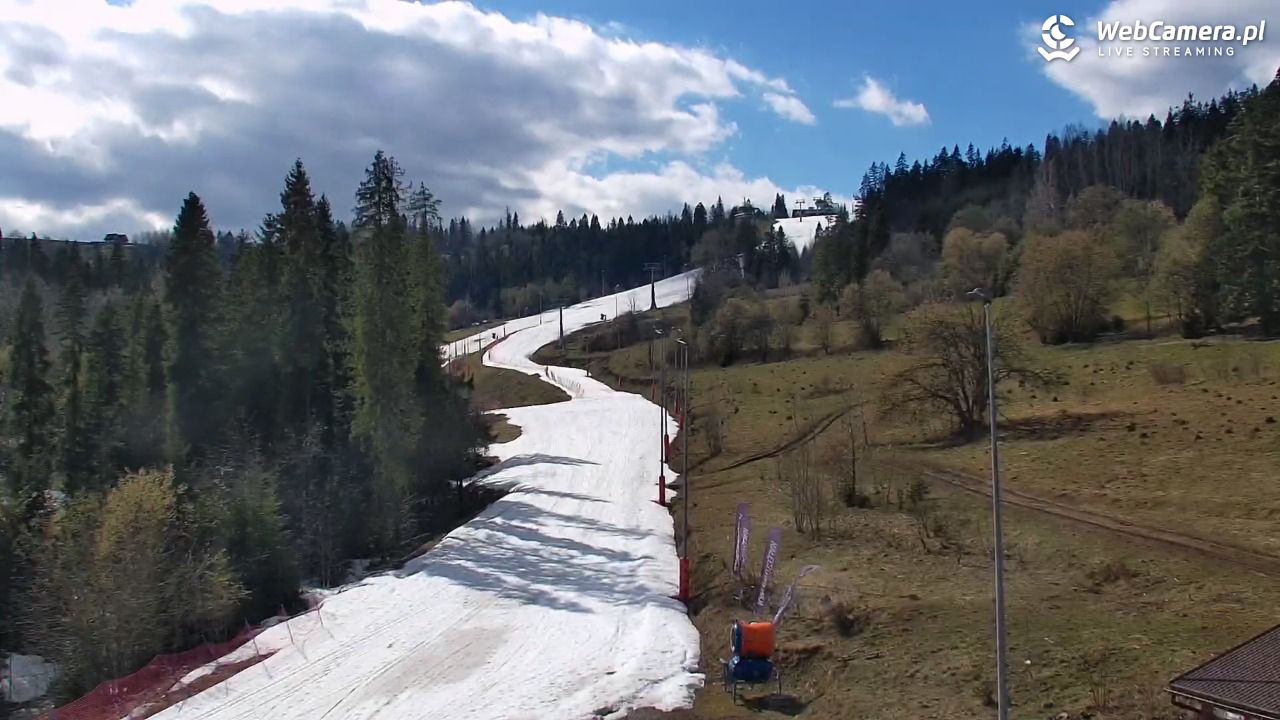 Kotelnica Białczańska - Remiaszów - 06 kwiecień 2026, 15:21