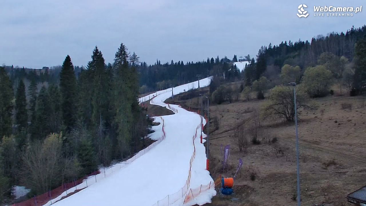 Kotelnica Białczańska - Remiaszów - 24 marzec 2026, 06:07