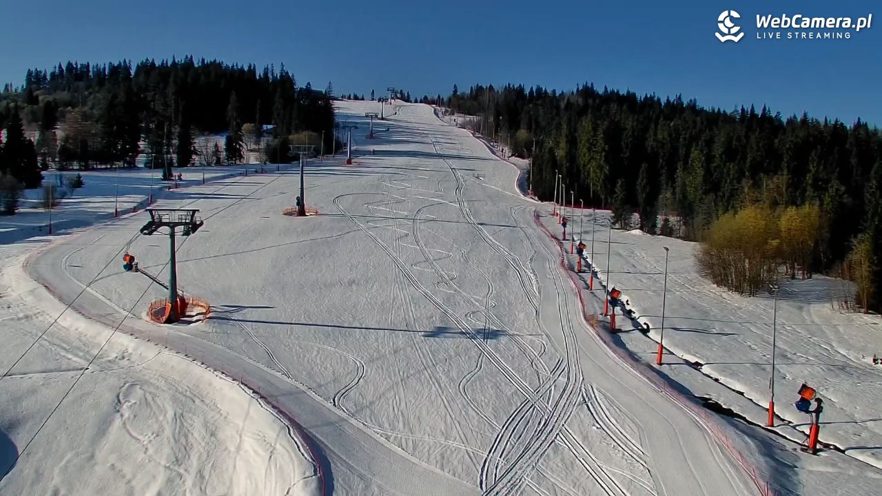 Kotelnica Białczańska - Remiaszów - 04 kwiecień 2026, 08:14