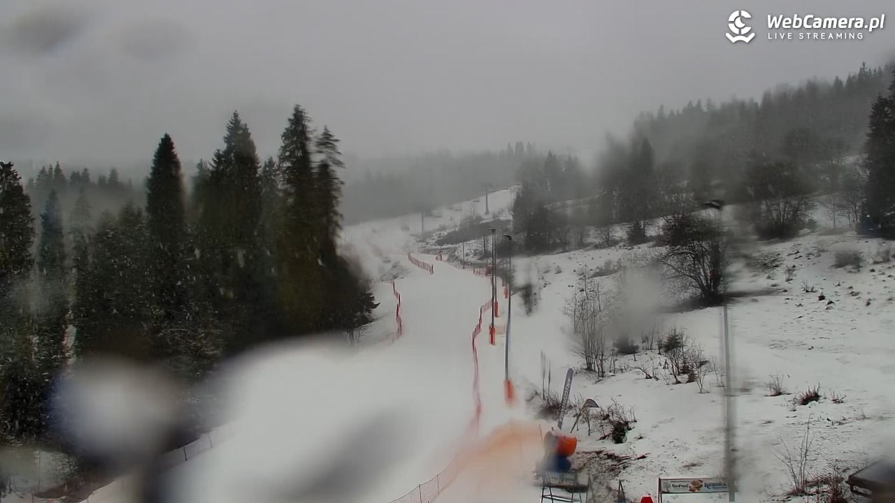 Kotelnica Białczańska - Remiaszów - 24 luty 2026, 08:22
