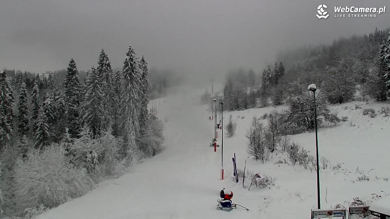 Kotelnica Białczańska - Remiaszów - 23 listopad 2025, 09:30