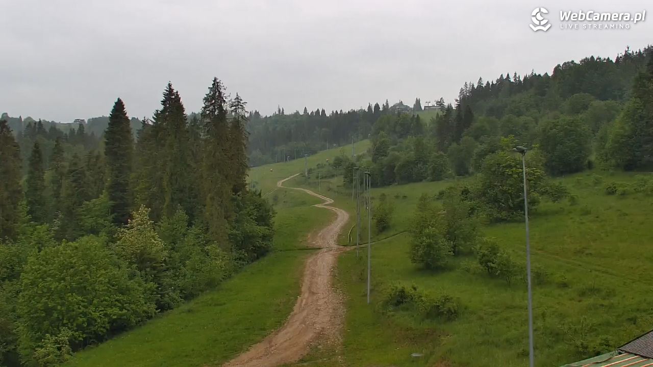 Kotelnica Białczańska - Remiaszów - 01 czerwiec 2026, 06:03