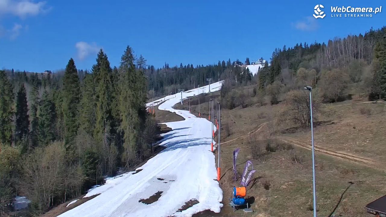 Kotelnica Białczańska - Remiaszów - 10 kwiecień 2026, 09:29